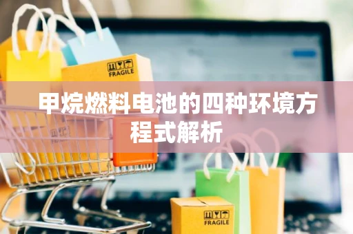 甲烷燃料电池的四种环境方程式解析