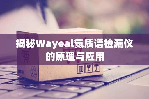 揭秘Wayeal氦质谱检漏仪的原理与应用