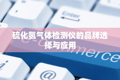 硫化氢气体检测仪的品牌选择与应用