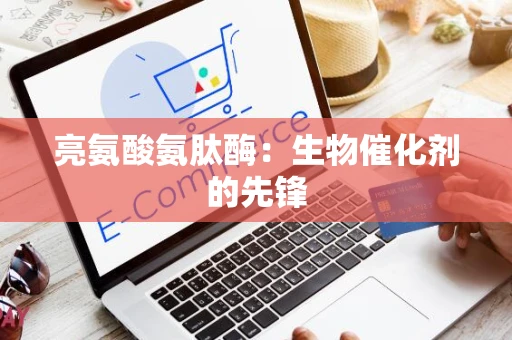 亮氨酸氨肽酶：生物催化剂的先锋