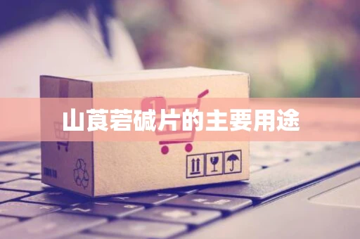 山莨菪碱片的主要用途