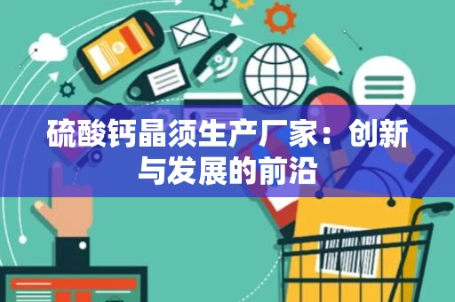 硫酸钙晶须生产厂家：创新与发展的前沿