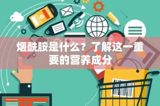 烟酰胺是什么？了解这一重要的营养成分