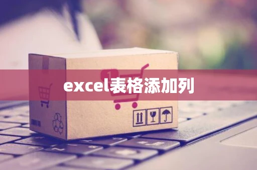 excel表格添加列