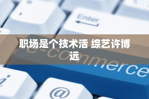 职场是个技术活 综艺许博远