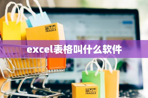 excel表格叫什么软件