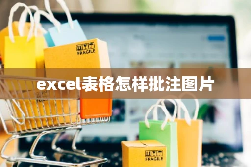 excel表格怎样批注图片 excel表格怎样批注图片