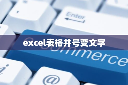 excel表格井号变文字