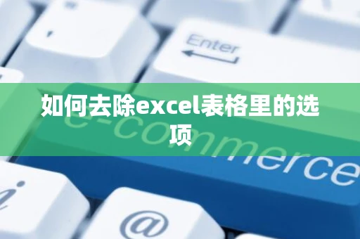 如何去除excel表格里的选项