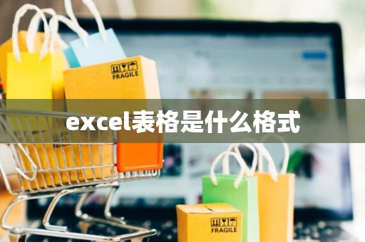 excel表格是什么格式