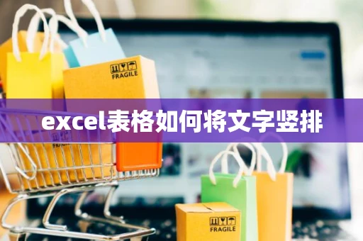 excel表格如何将文字竖排