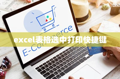 excel表格选中打印快捷键