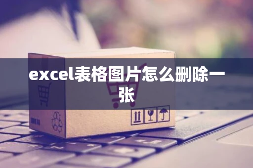 excel表格图片怎么删除一张