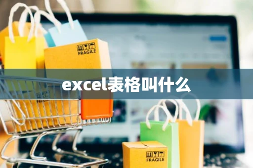 excel表格叫什么