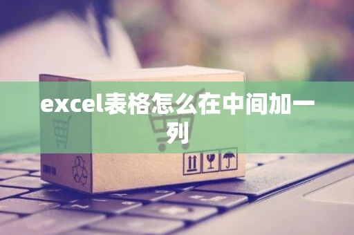 excel表格怎么在中间加一列