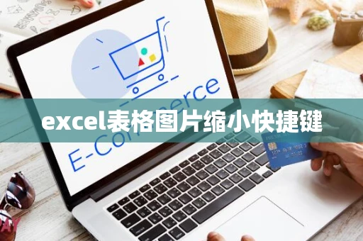 excel表格图片缩小快捷键