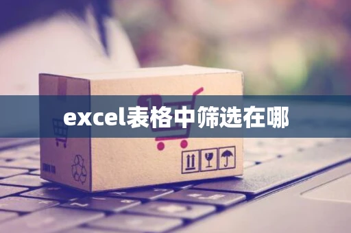 excel表格中筛选在哪