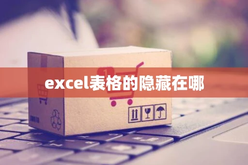 excel表格的隐藏在哪