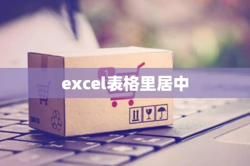 excel表格里居中