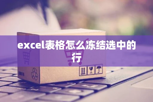 excel表格怎么冻结选中的行
