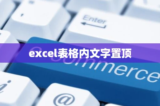 excel表格内文字置顶