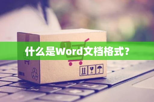什么是Word文档格式？