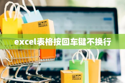 excel表格按回车键不换行