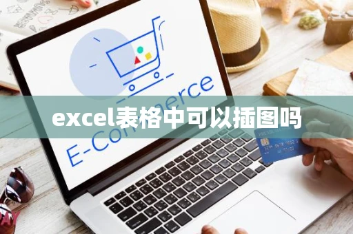 excel表格中可以插图吗 excel表格中可以插图吗