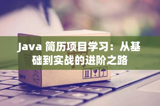 Java 简历项目学习：从基础到实战的进阶之路