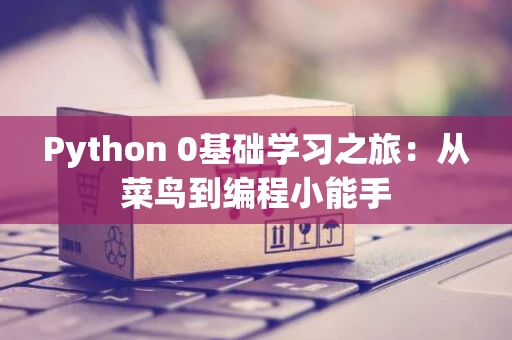 Python 0基础学习之旅：从菜鸟到编程小能手
