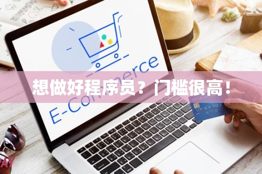 想做好程序员？门槛很高！