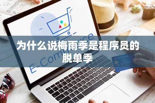 为什么说梅雨季是程序员的脱单季