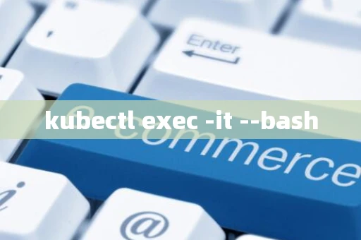 kubectl exec -it --bash