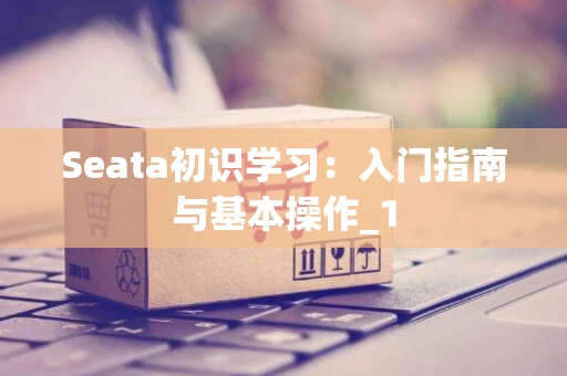 Seata初识学习：入门指南与基本操作_1