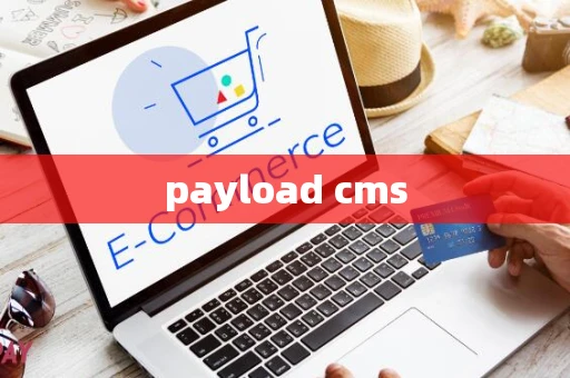 payload cms