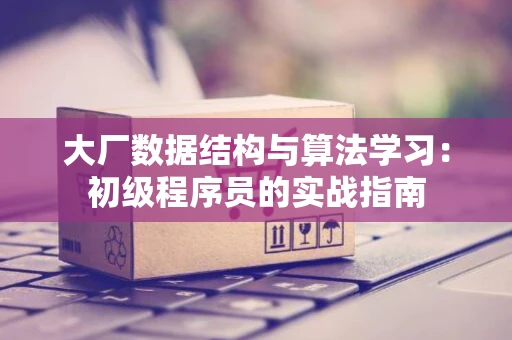 大厂数据结构与算法学习：初级程序员的实战指南