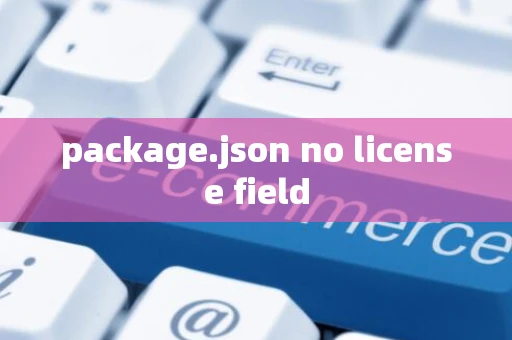 package.json no license field