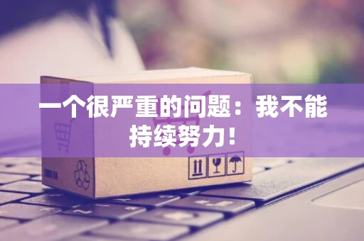 一个很严重的问题：我不能持续努力！