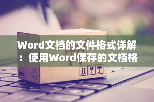 Word文档的文件格式详解：使用Word保存的文档格式有哪些？