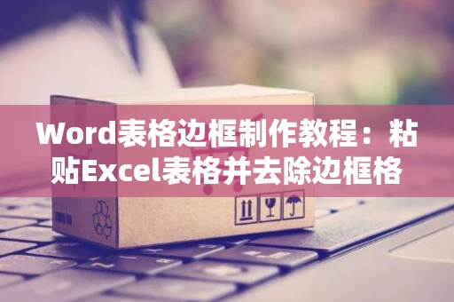 Word表格边框制作教程：粘贴Excel表格并去除边框格式指南（适用于2024年）