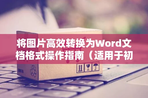 将图片高效转换为Word文档格式操作指南（适用于初学者，含时间细节更新至2024）