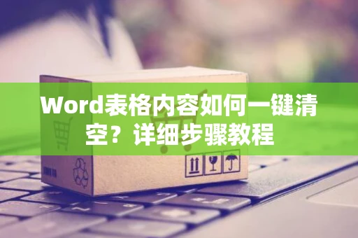 Word表格内容如何一键清空？详细步骤教程