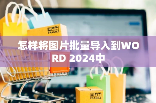 怎样将图片批量导入到WORD 2024中