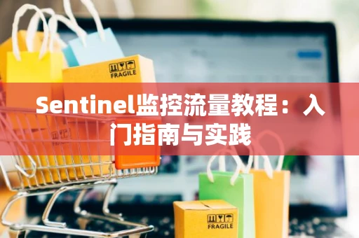 Sentinel监控流量教程：入门指南与实践