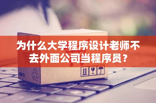 为什么大学程序设计老师不去外面公司当程序员？