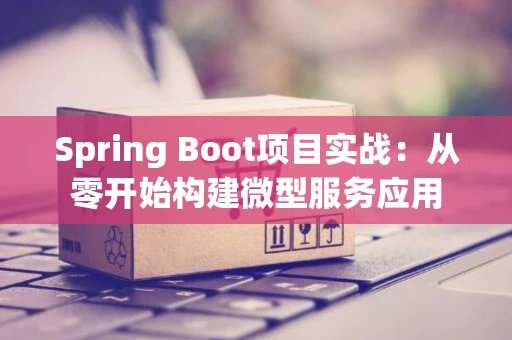 Spring Boot项目实战：从零开始构建微型服务应用