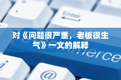 对《问题很严重，老板很生气》一文的解释