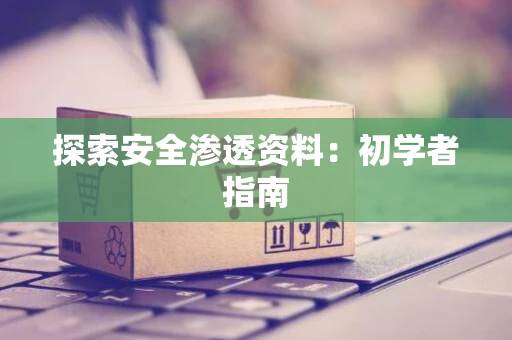 探索安全渗透资料：初学者指南