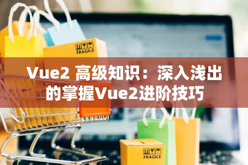 Vue2 高级知识：深入浅出的掌握Vue2进阶技巧