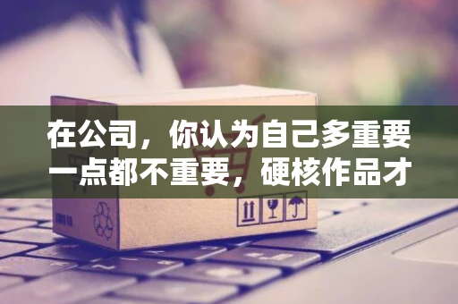在公司，你认为自己多重要一点都不重要，硬核作品才重要